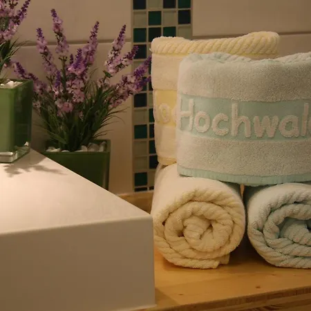 Hochwald & 3* 바드리에벤젤