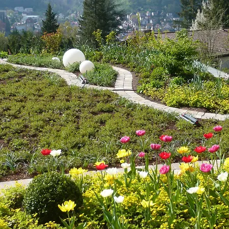 Hochwald & Hotel Bad Liebenzell