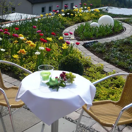 호텔 Hochwald & 3*