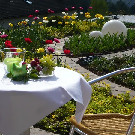 Hochwald Hotel&apartment Bad Liebenzell