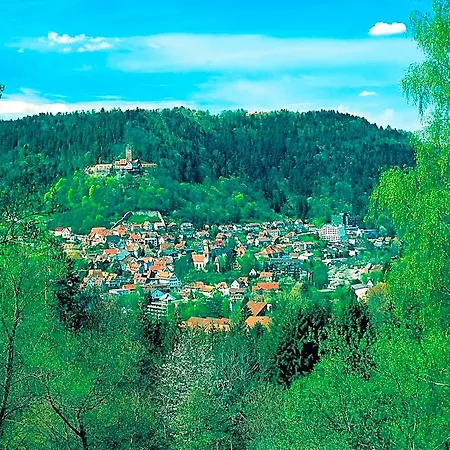 Hochwald & 3* Bad Liebenzell