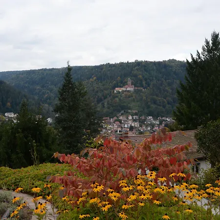 Hochwald & 3* Bad Liebenzell