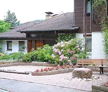 호텔 Hochwald & 3*